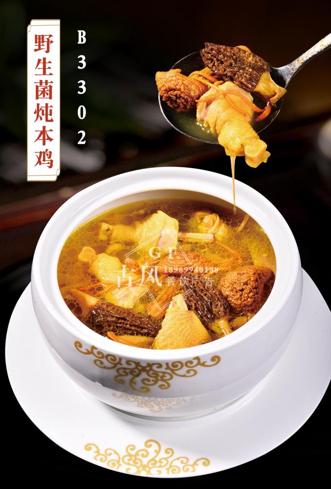 B3302野生(shēng)菌炖本雞