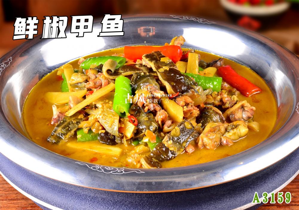 A3159鮮椒甲魚