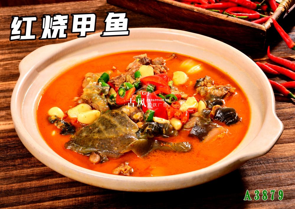 A3879紅(hóng)燒甲魚 (2)
