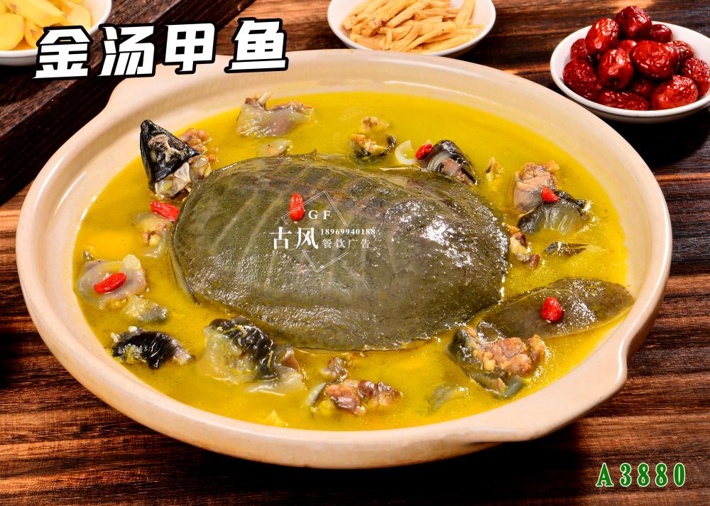 A3880金(jīn)湯甲魚 (1)