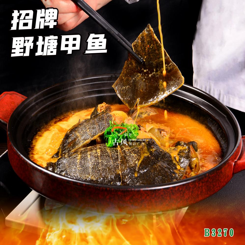 B3270招牌野塘甲魚