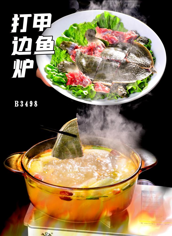 B3498甲魚打邊爐