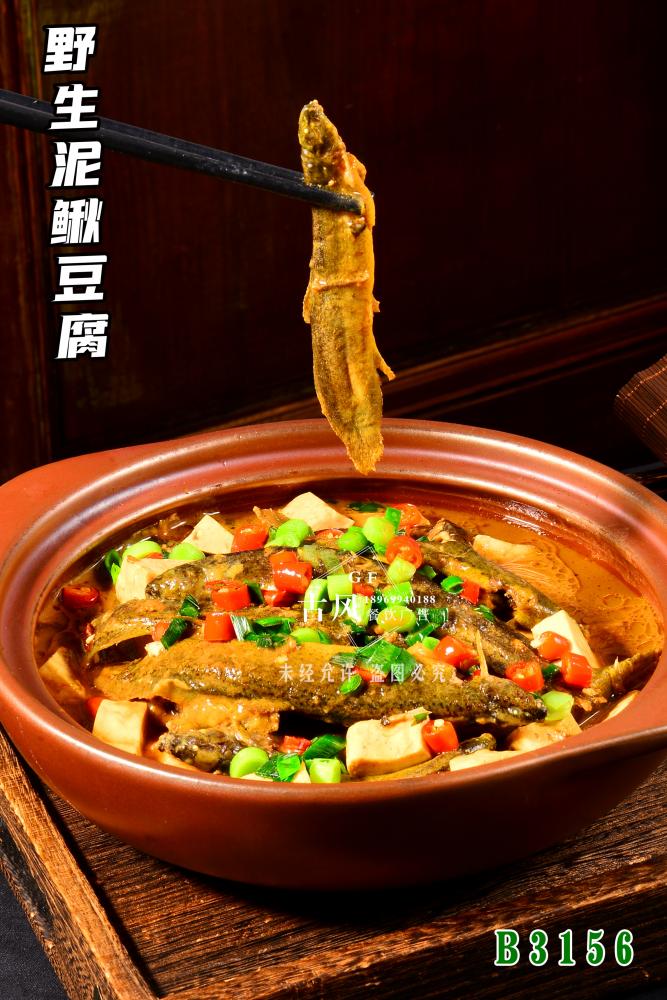 B3156野生(shēng)泥鳅豆腐