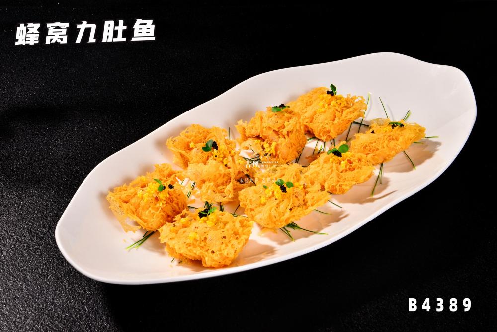 B4389蜂窩九肚魚