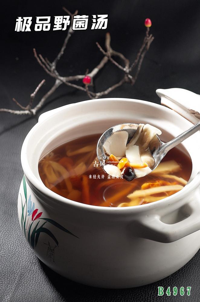 B4967極品野菌湯