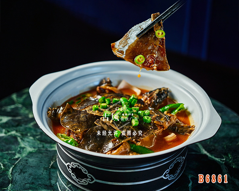 B6861陽澄湖(hú)甲魚