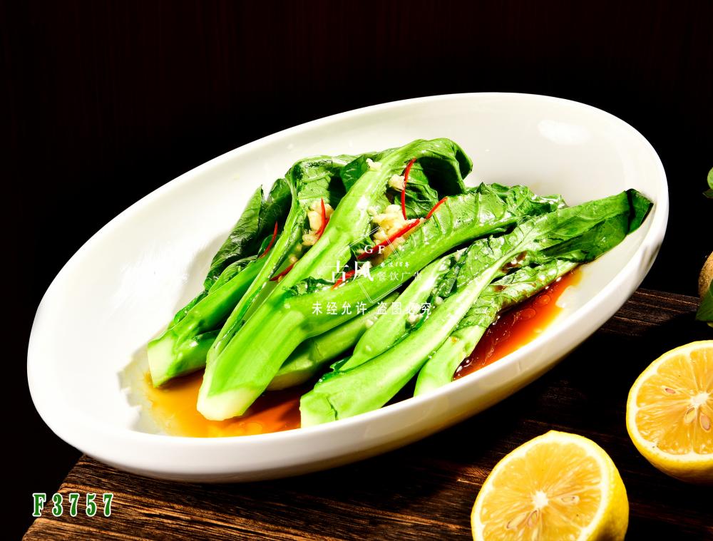 B8063廣東(dōng)菜心