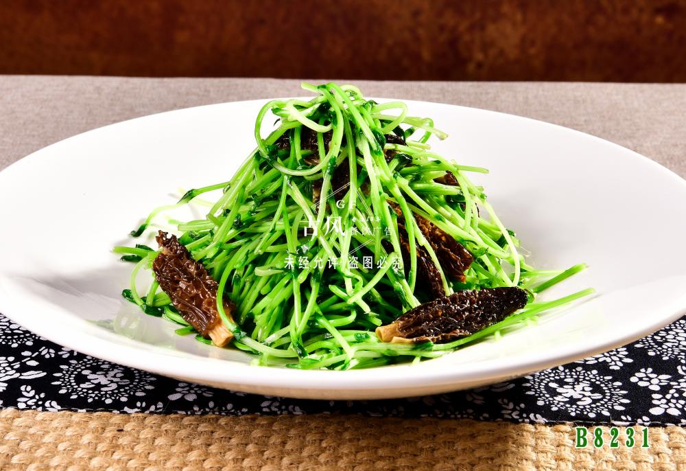 B8231羊肚菌炒豆苗