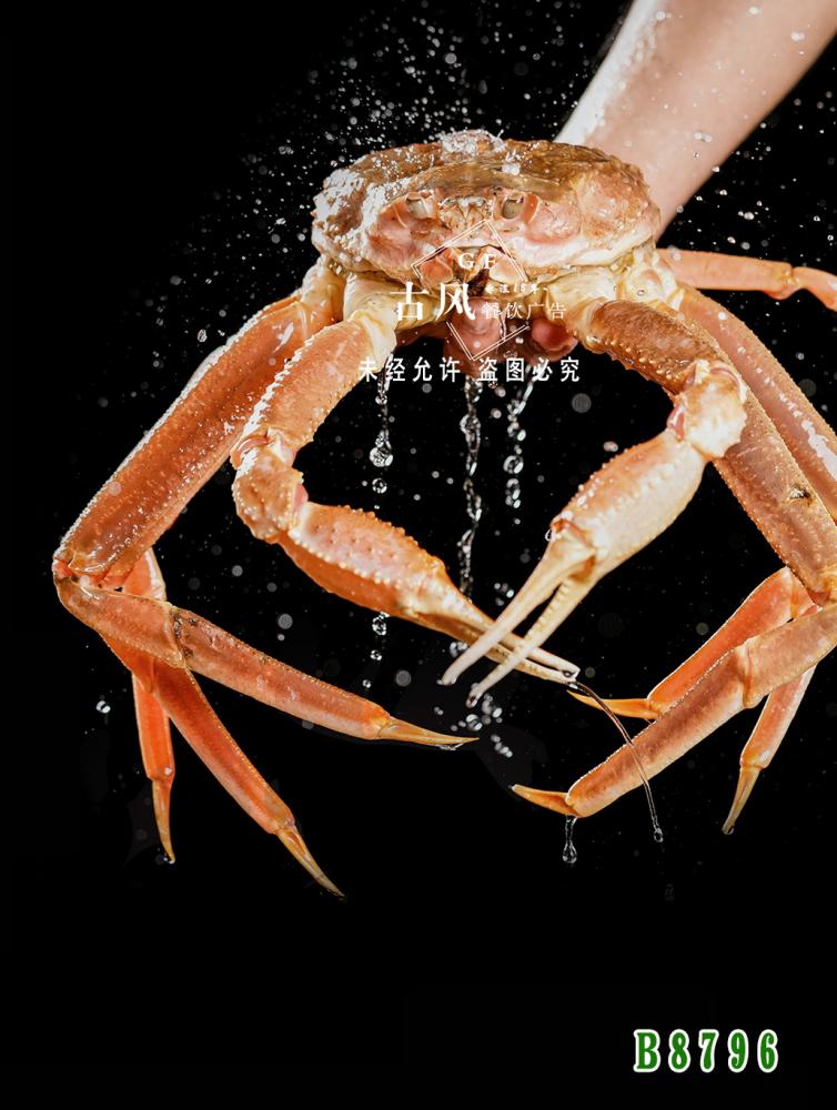 B8796松葉蟹