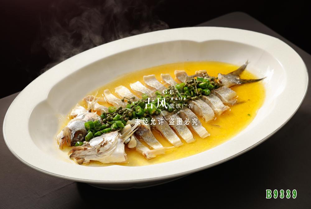 B9339青花(huā)椒雞汁海(hǎi)鲈魚