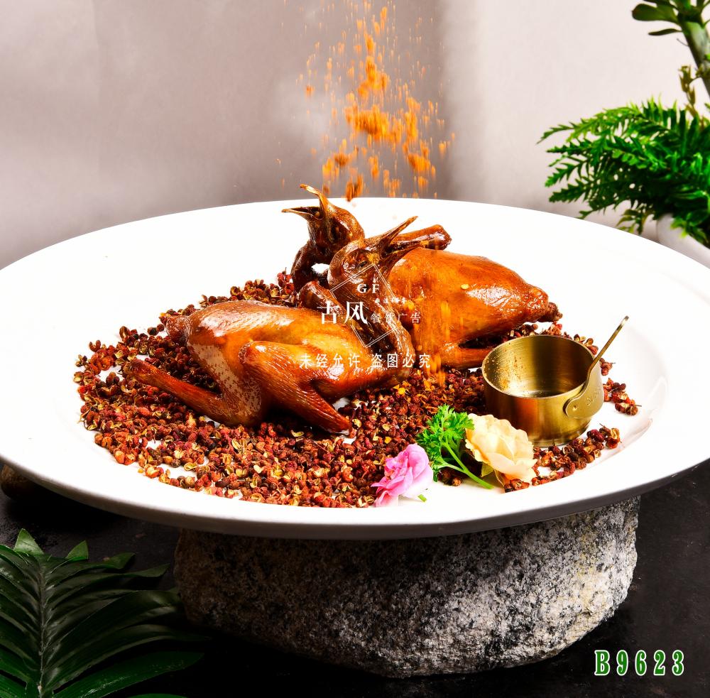 B9623妙齡脆乳鴿