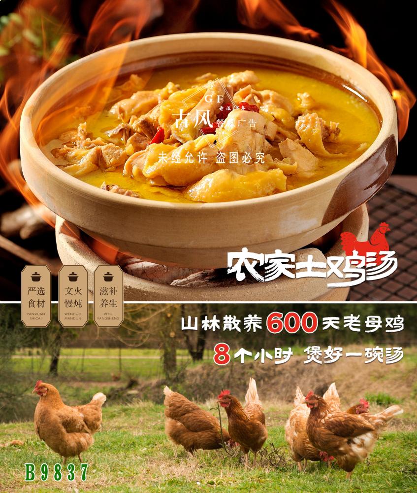 B9837土(tǔ)雞湯 黃(huáng)焖土(tǔ)雞1
