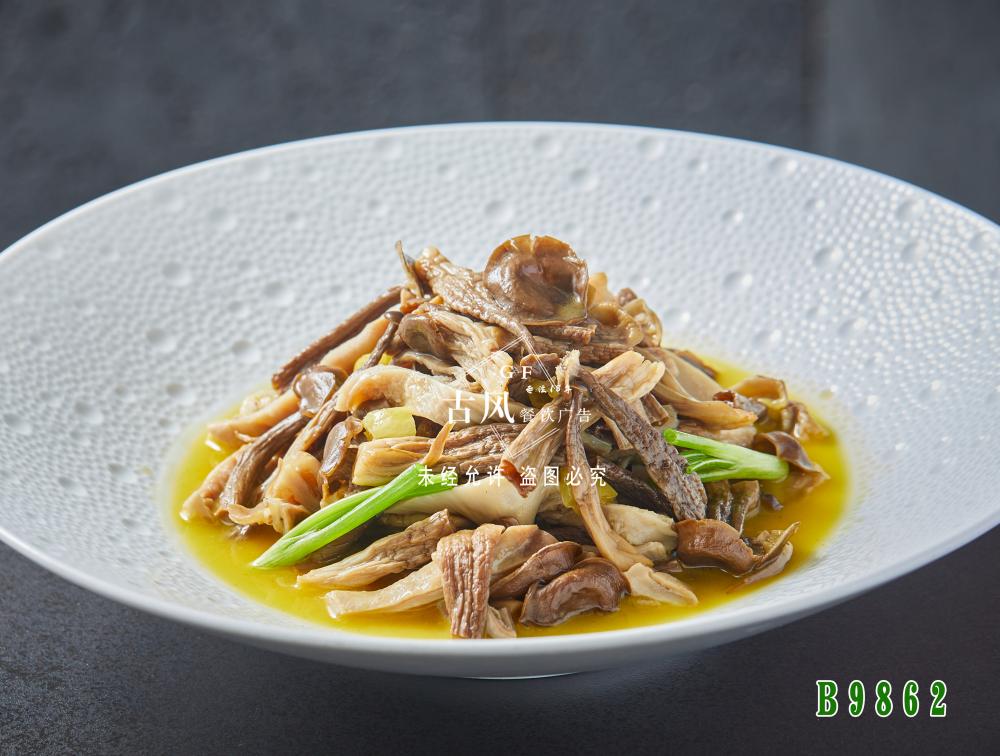 B9862鹿茸菌豬肚